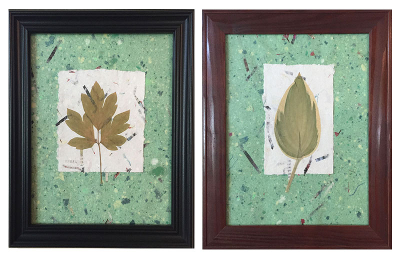 Pressed Leaves Art Frames – Craft Picnic